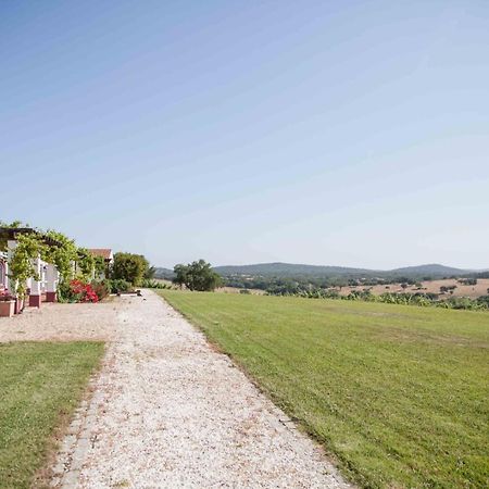 Stunning Mansion In Sao Cristovao Villa Montemor-o-Novo Eksteriør bilde