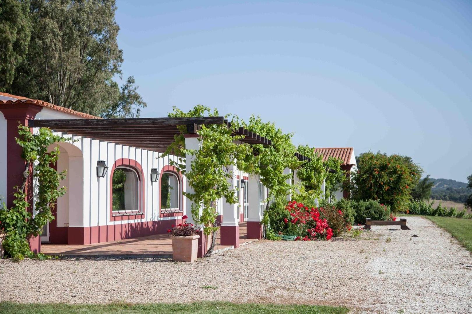 Stunning Mansion In Sao Cristovao Villa Montemor-o-Novo Eksteriør bilde